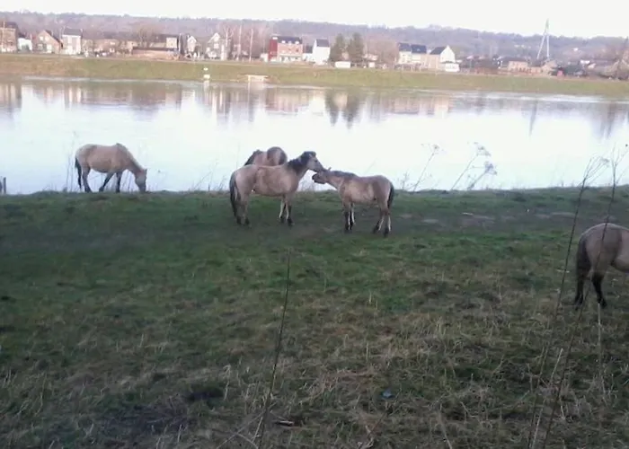 Апартаменты Authentic - 5p-apartment