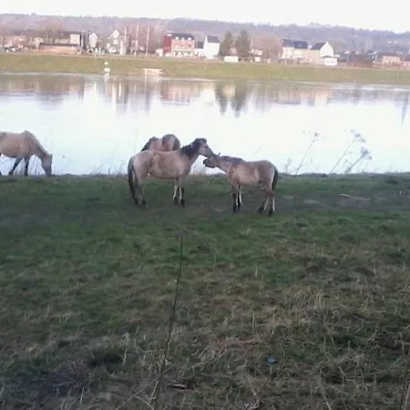 Lägenhet Authentic - 5p-apartment